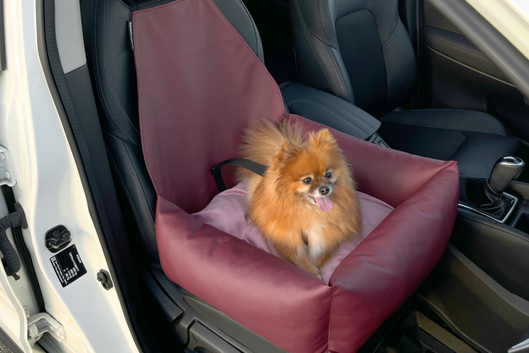 Dog Car Seat / Pet Travel Booster
